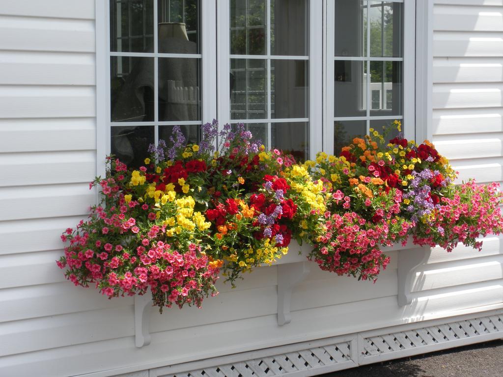 Cote'S Bed & Breakfast Grand Falls Exteriér fotografie